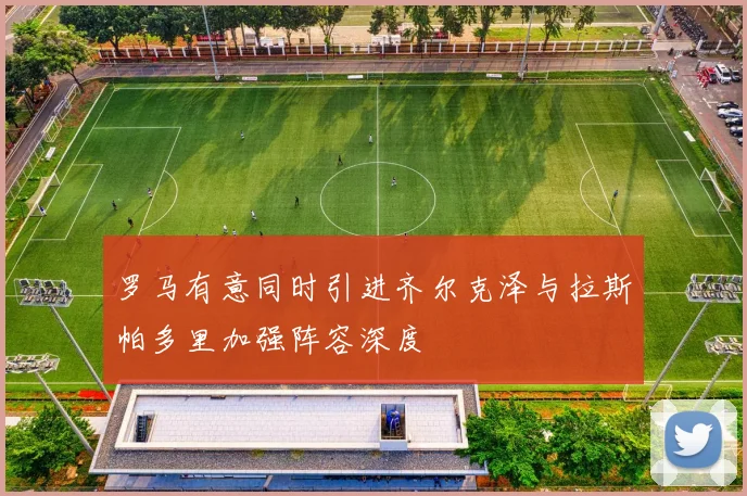 罗马有意同时引进齐尔克泽与拉斯帕多里加强阵容深度
