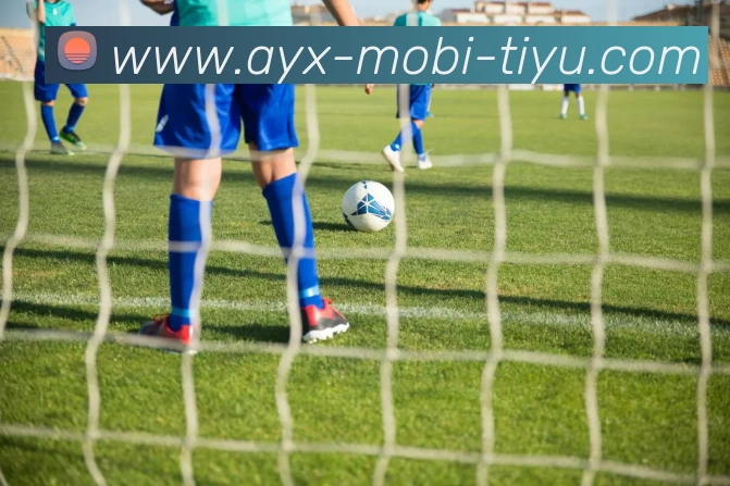 多媒体互动体验