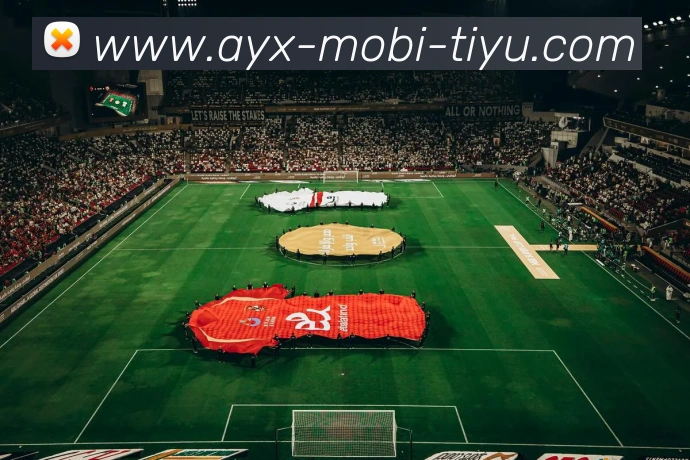 爱游戏APP 高清赛事图